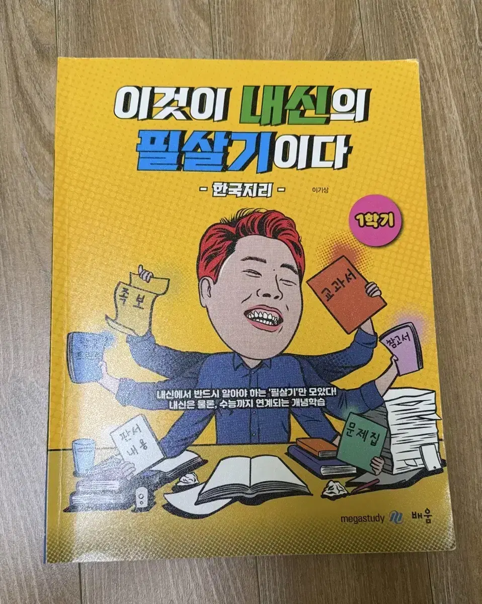 이기상 한국지리