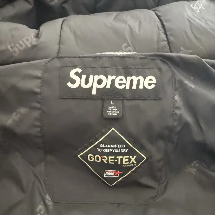 Supreme Gore-Tex 700-Fill Down Clip Park