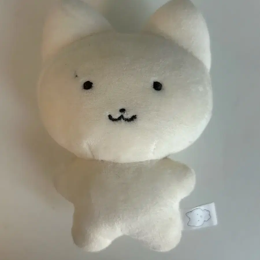 더보이즈 주연 10cm 인형 쮸부냥 양도