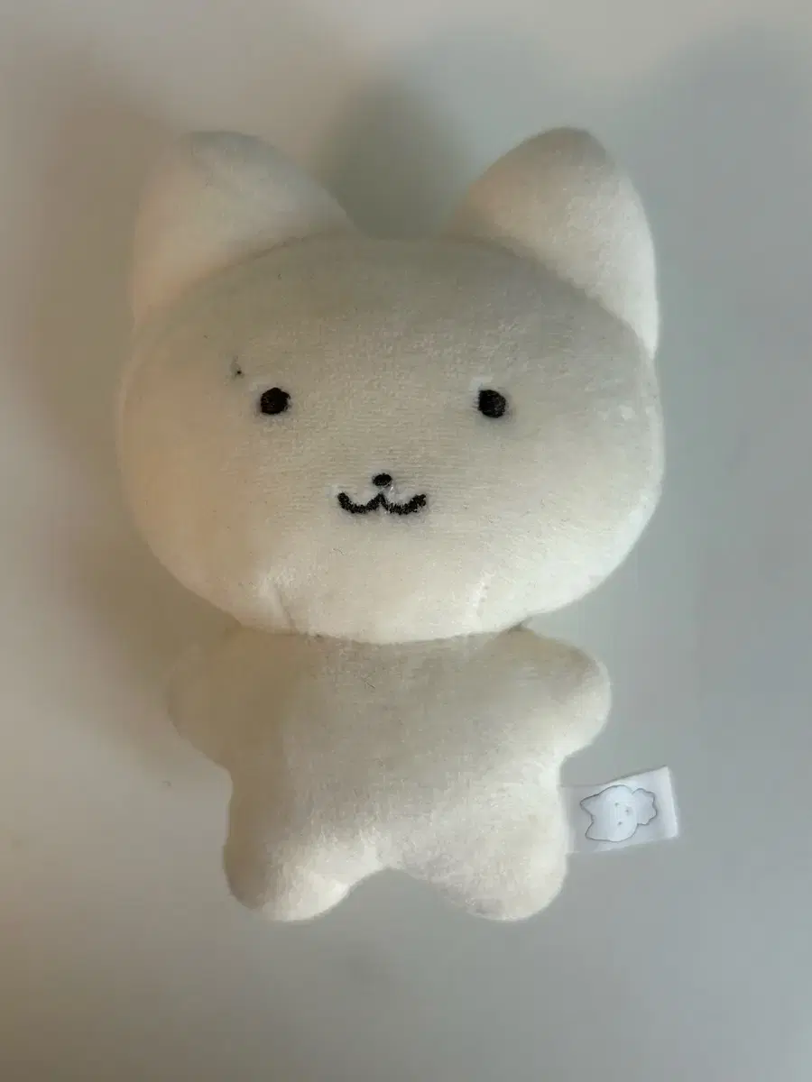 더보이즈 주연 10cm 인형 쮸부냥 양도