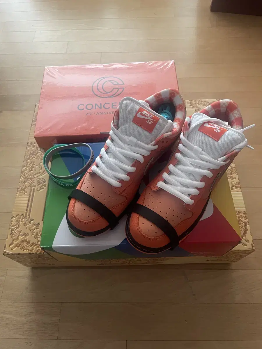 SB Dunk low Orange robster 270