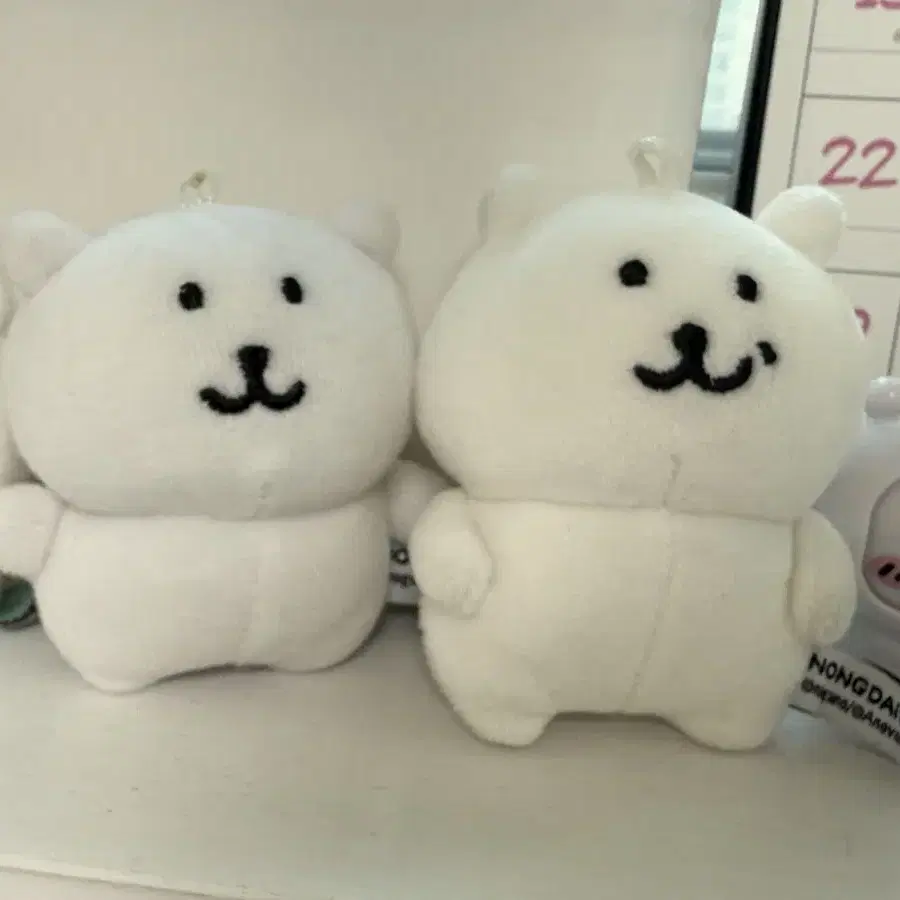 농담곰 8cm 기본 우쭐 돌앤돌스 인형 키링