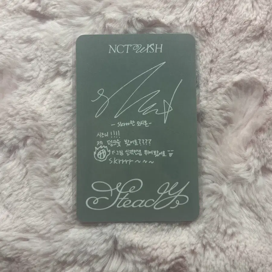 Nct wish 스테디 큐알 버전 시온 포카 판매 nct wish