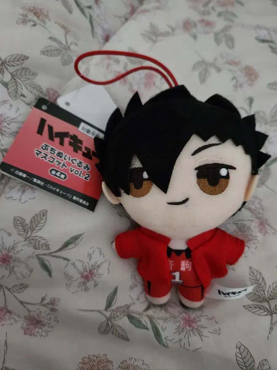 Haikyuu Kuroo Tetsuro Petite Nui Kurumi Doll