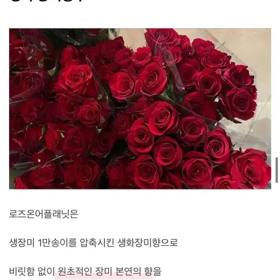 마인드오버바디 로즈온어플래닛 생장미향수 텀블벅향수