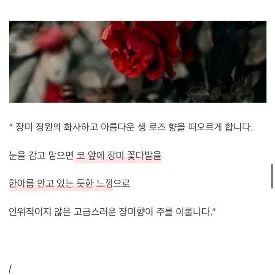 마인드오버바디 로즈온어플래닛 생장미향수 텀블벅향수