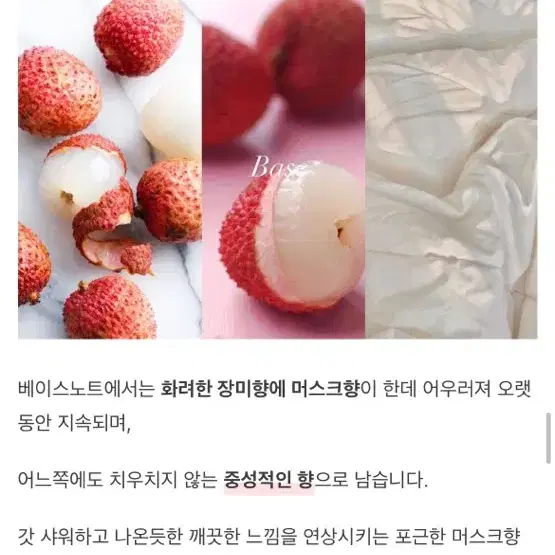 마인드오버바디 로즈온어플래닛 생장미향수 텀블벅향수