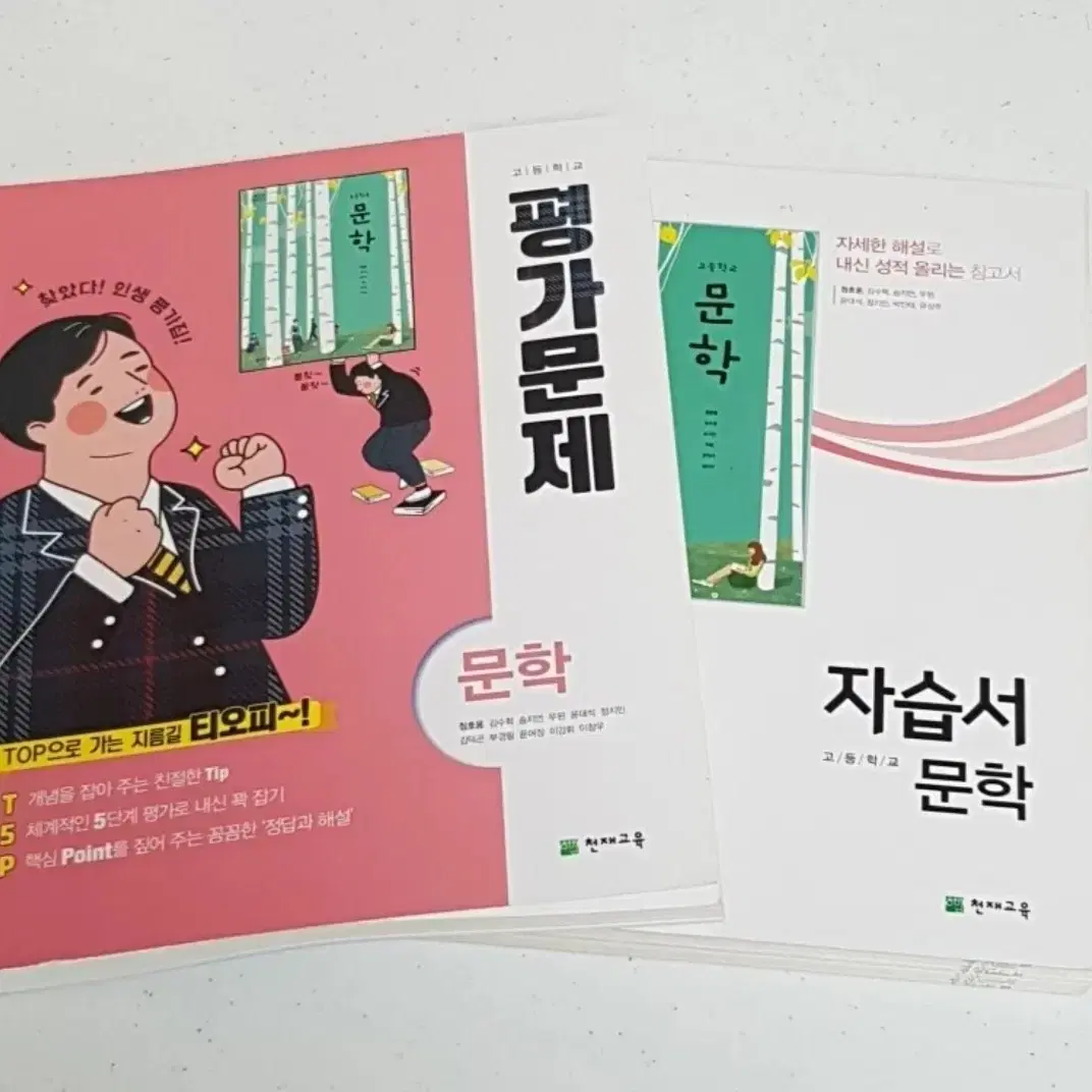 문학 천재교육 자습서, 평가문제집