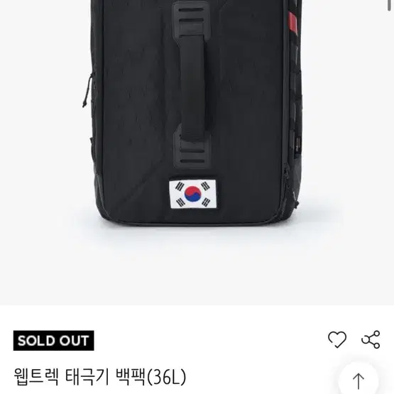 스파이더 웹트렉 태극기 백팩