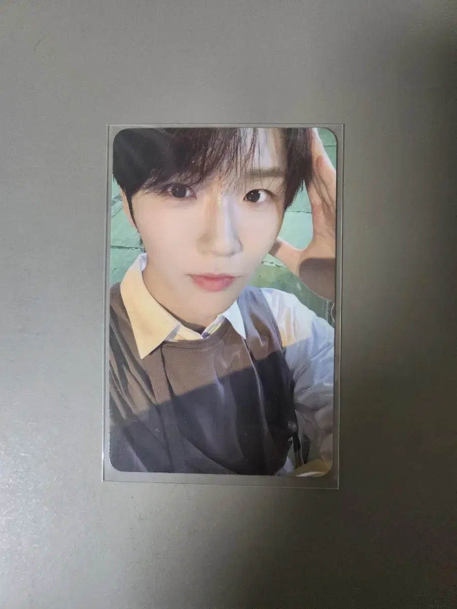 NCT wish Jaehee Steady tc B-version Photocard