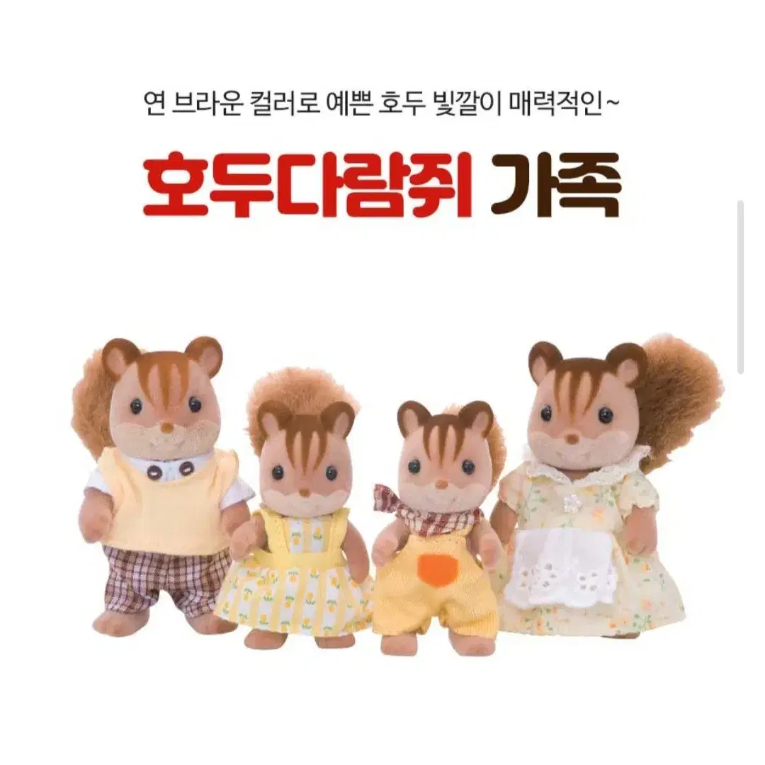 실바니안 다람쥐가족