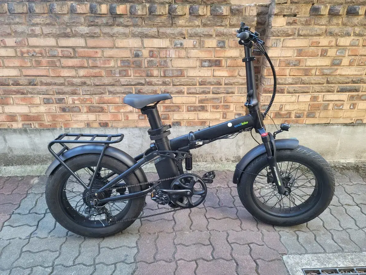 Quali Max Fat Performance Electric Bike 48V500W sells