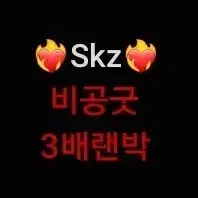 스키즈 비공굿 포카 랜박 (소액 ver.)