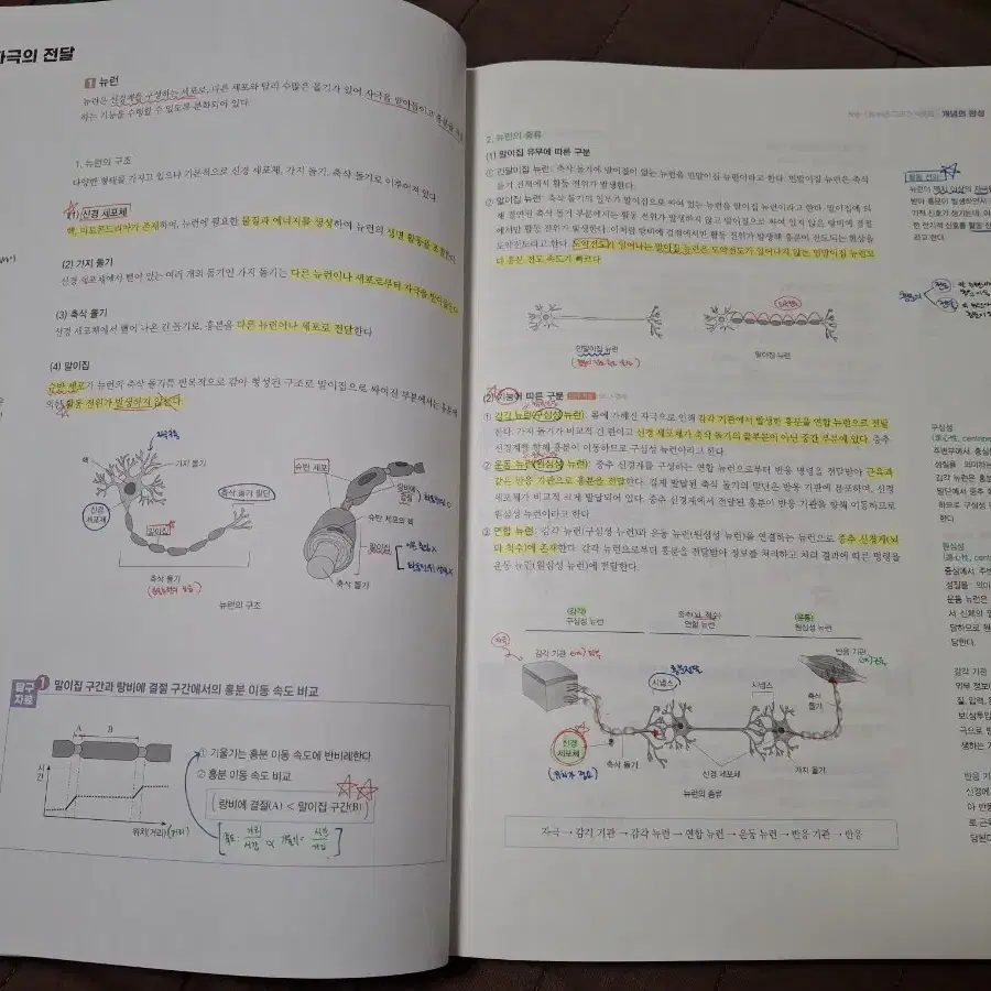 메가스터디 한종철T 생명과학 2025 철두철미 개념완성