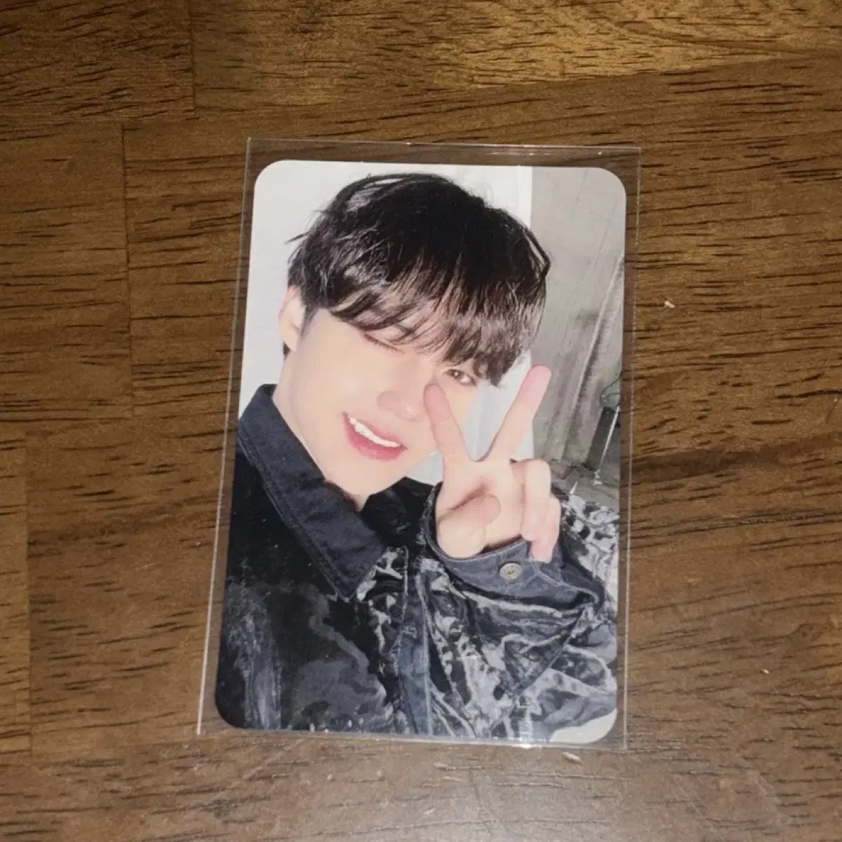 treasure doyoung straight japan album c vahn photocard wts