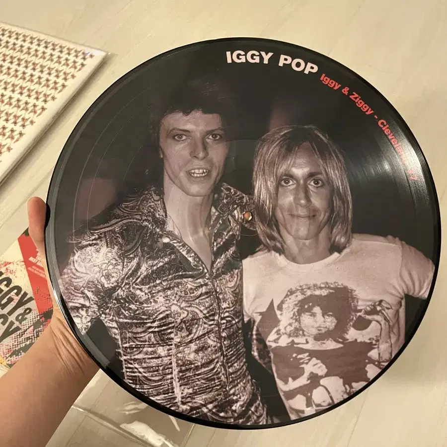 iggy pop LP 판매