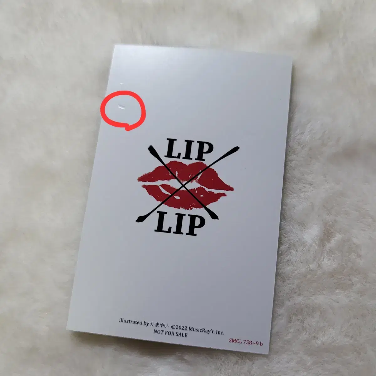 허니웍스 립립 체키 파샤 지류 굿즈 LIPxLIP 아이조 유지로