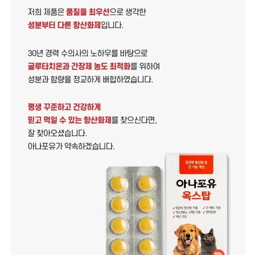 반려동물 항산화제 아나포유 60정