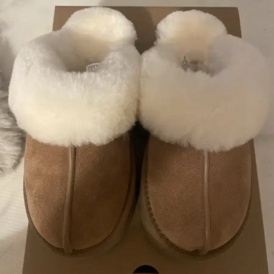 UGG 슬리퍼 5