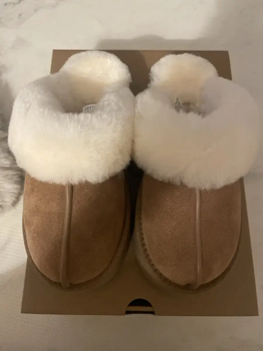 UGG 슬리퍼 5