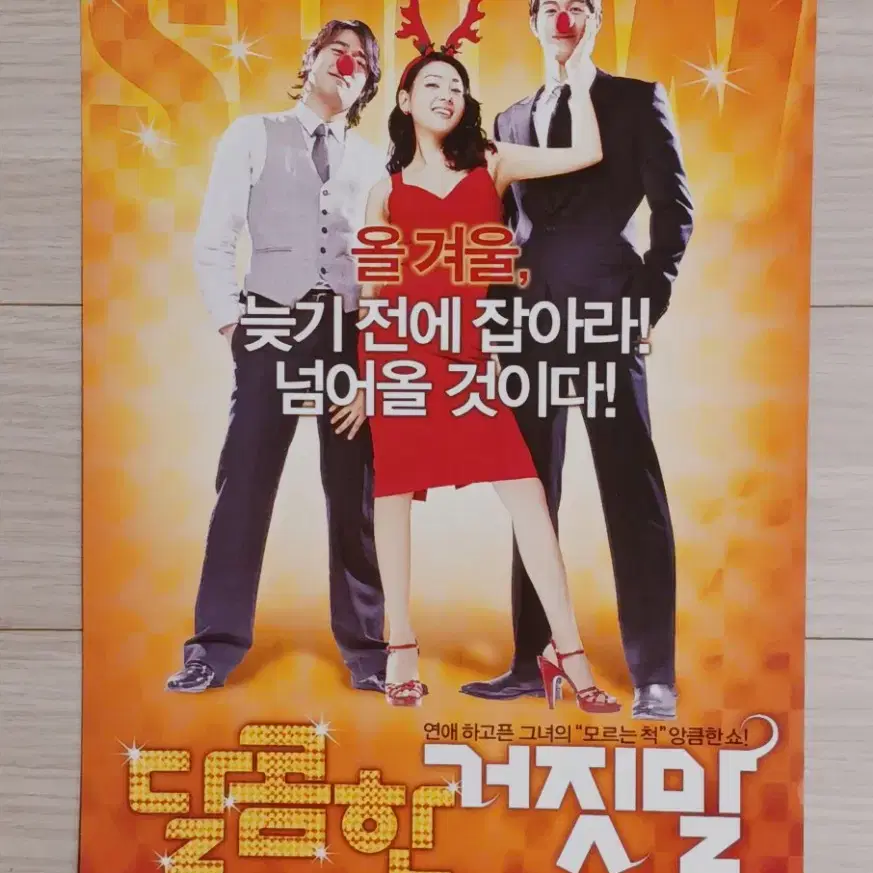 박진희 조한선 이기우 김동욱 조진웅 달콤한거짓말(2008년)전단지