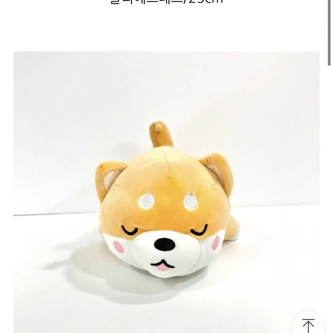 모찌시바라잉 쿠션 인형 25cm 정품