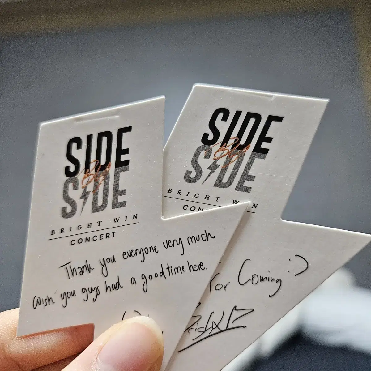 브윈 브라잇윈 사바사 SIDE BY SIDE 콘서트 DVD