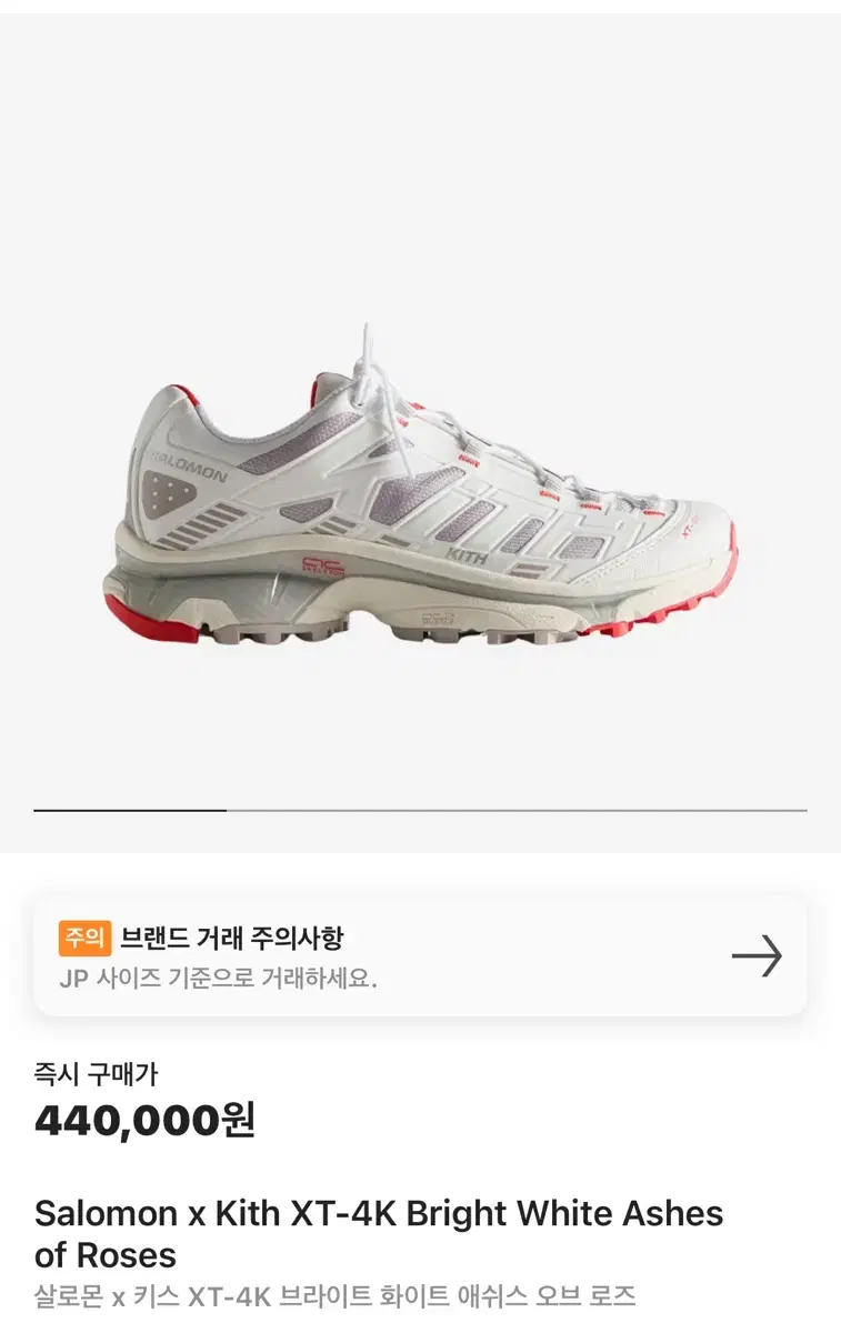 키쓰 살로몬 XT4 250