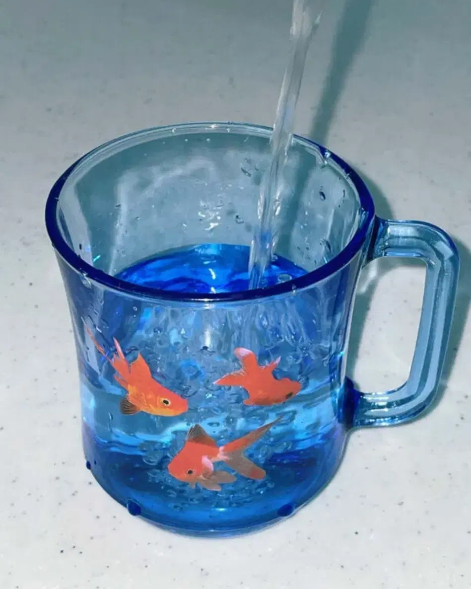 린콤마 금붕어 해파리 유리컵 fish jellyfish cup