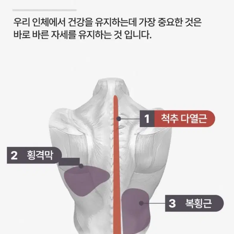 딥롤러 마사지기 판매합니다