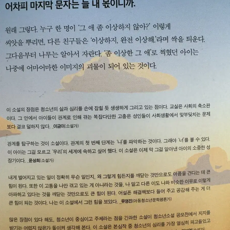 체리새우:비밀글입니다 소설책 장편소설 청소년