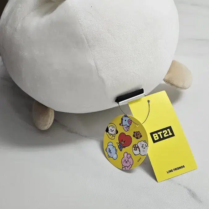 BT21