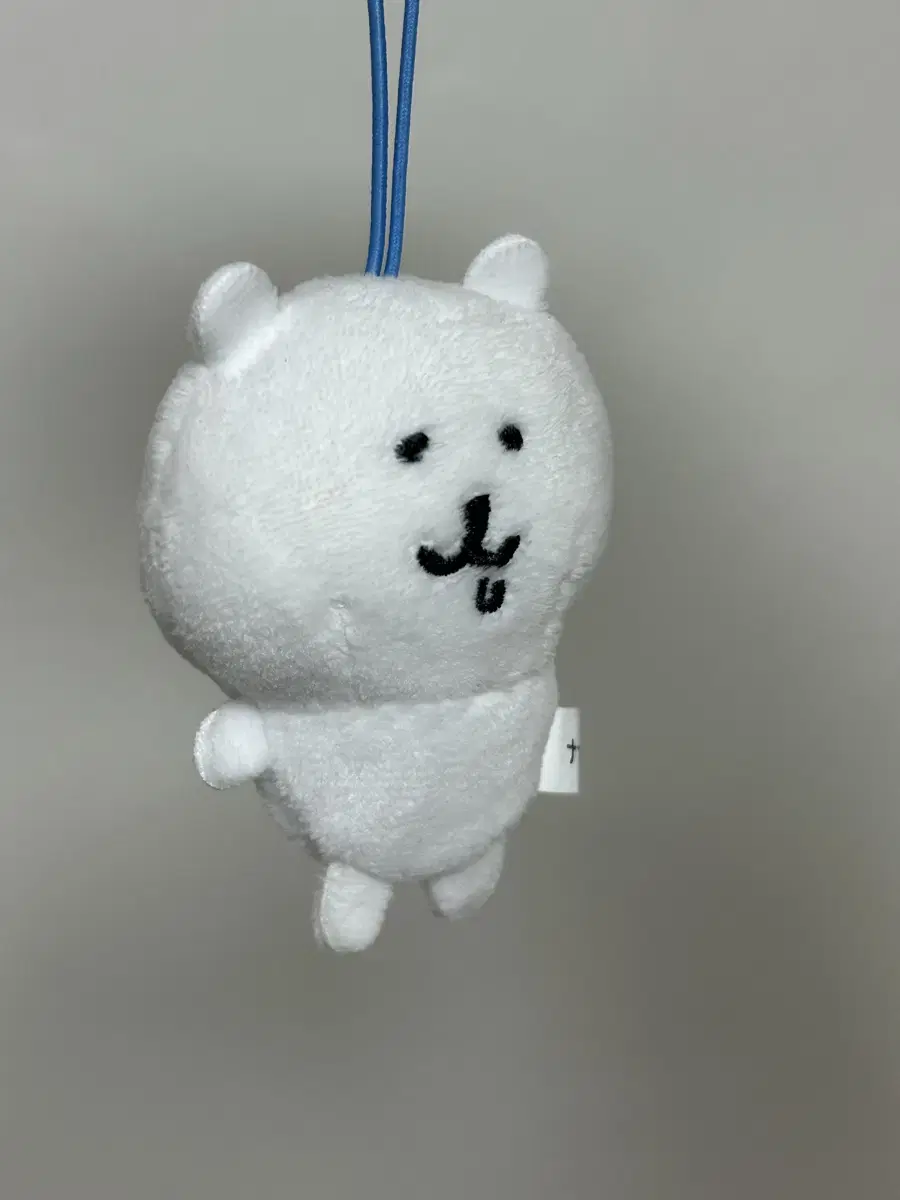 농담곰 침담곰 침흘리는 농담곰