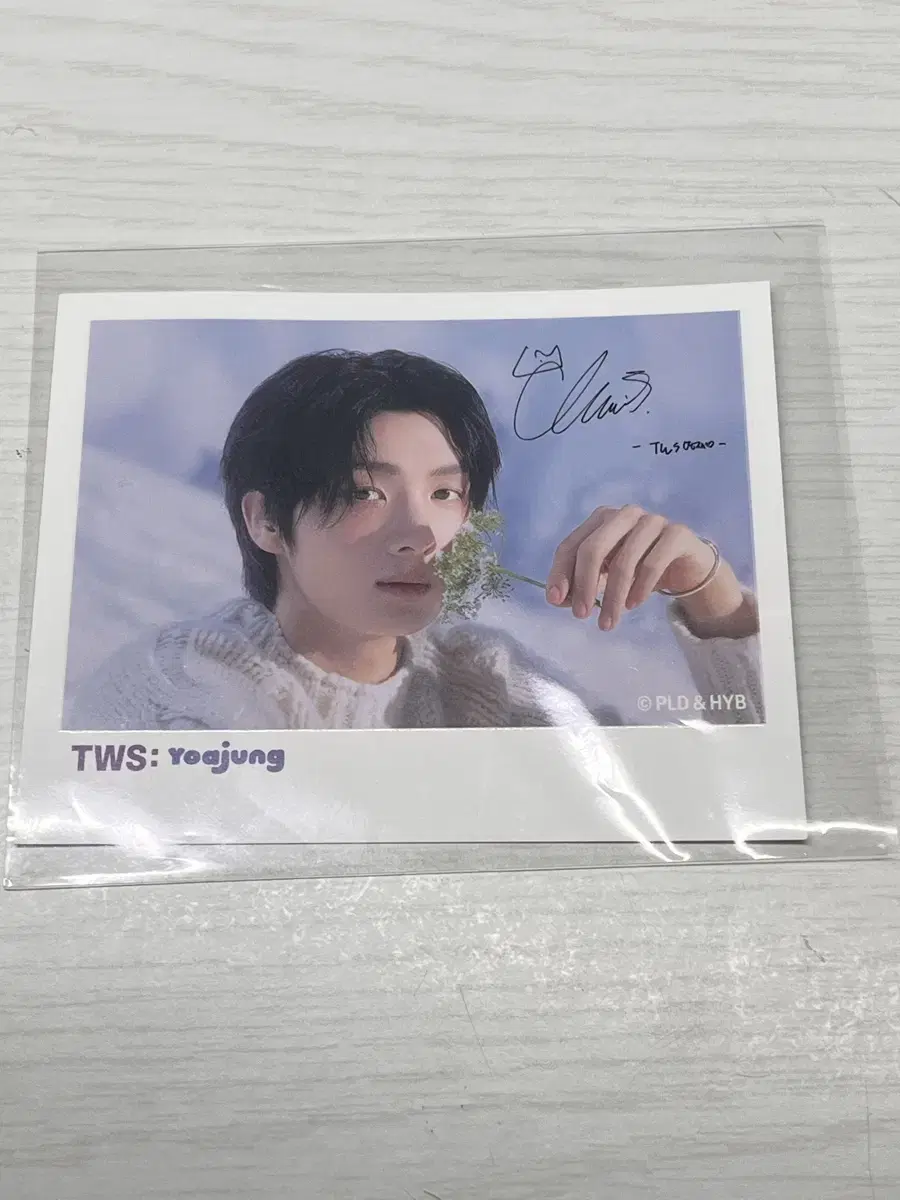 TWS youngjae Yoazheng sign pola WTS