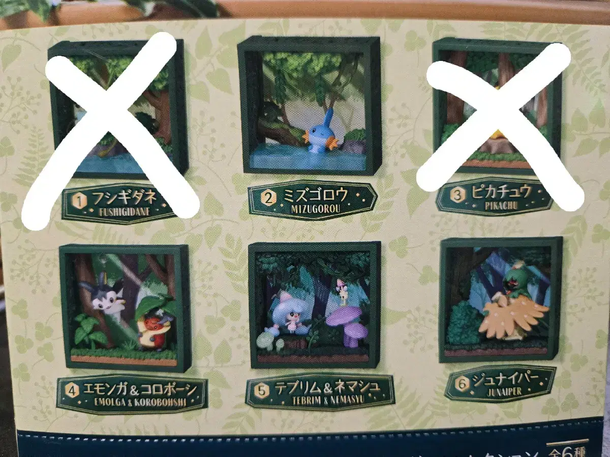 Pokémon Rement Deep Green Forest