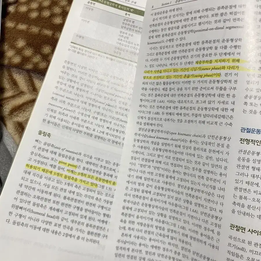 뉴만 키네시올로지(상태 최상)