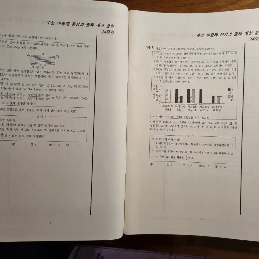 대치동 생명과학1 컨텐츠 일괄