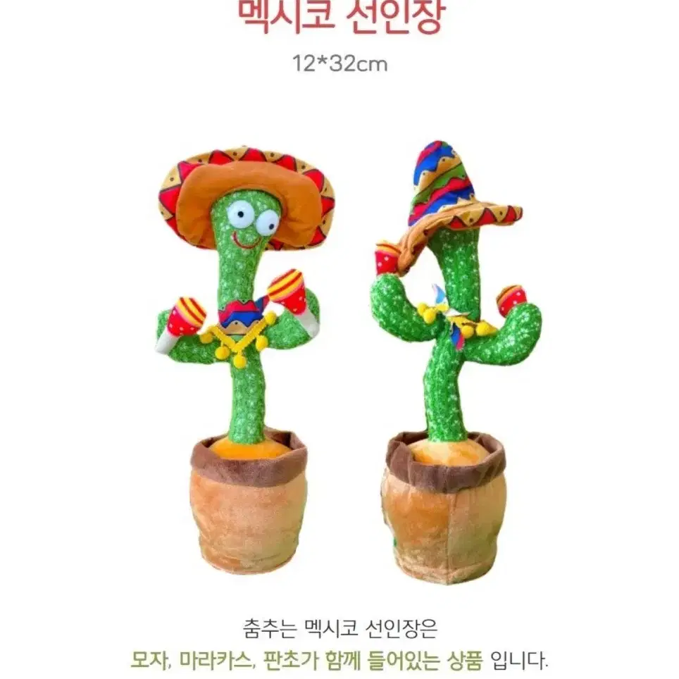 춤추는 멕시코 선인장 판매