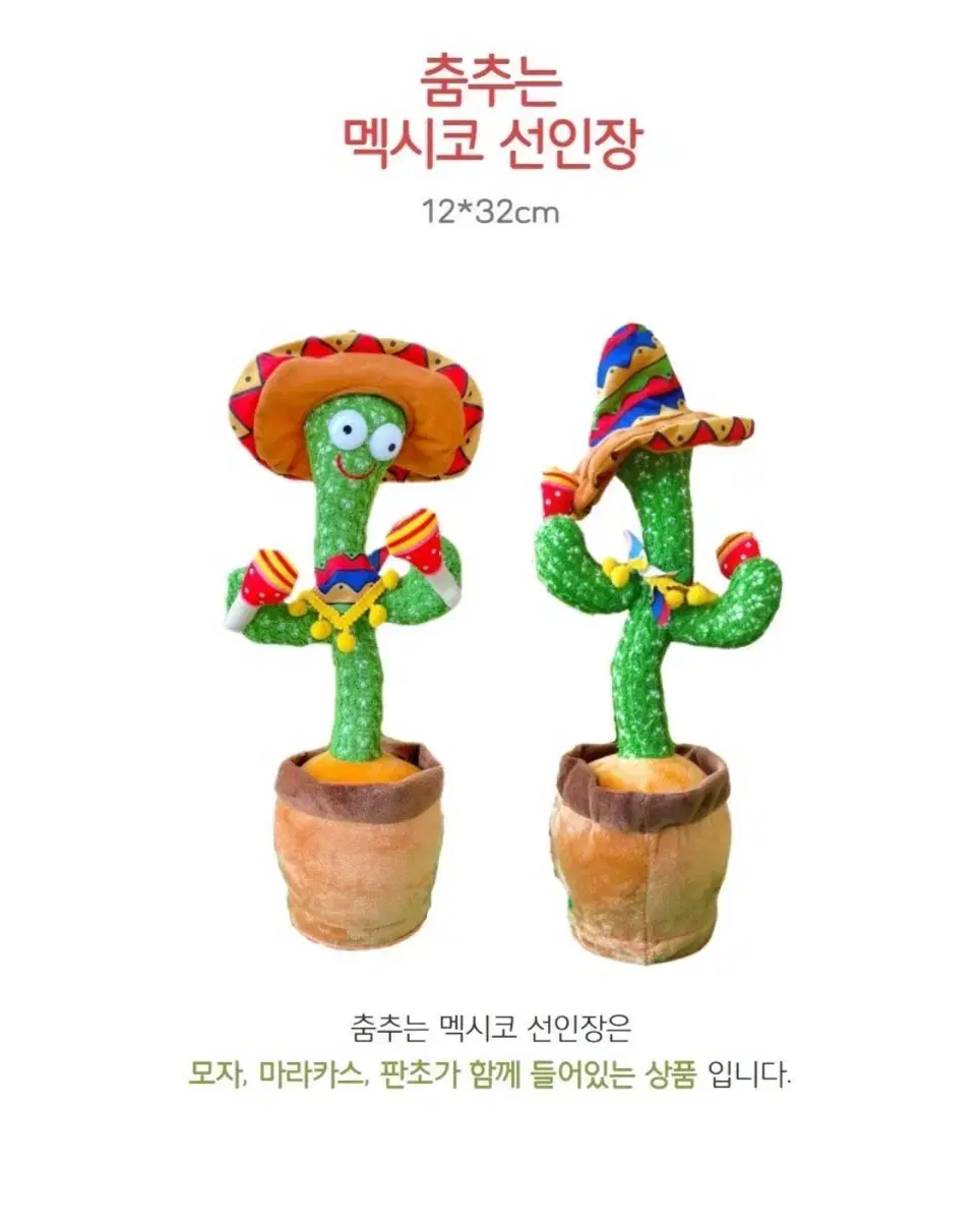 춤추는 멕시코 선인장 판매