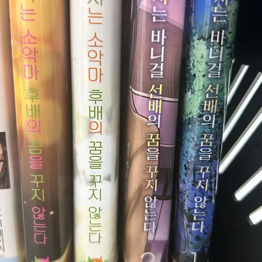 라노벨 초판 판매