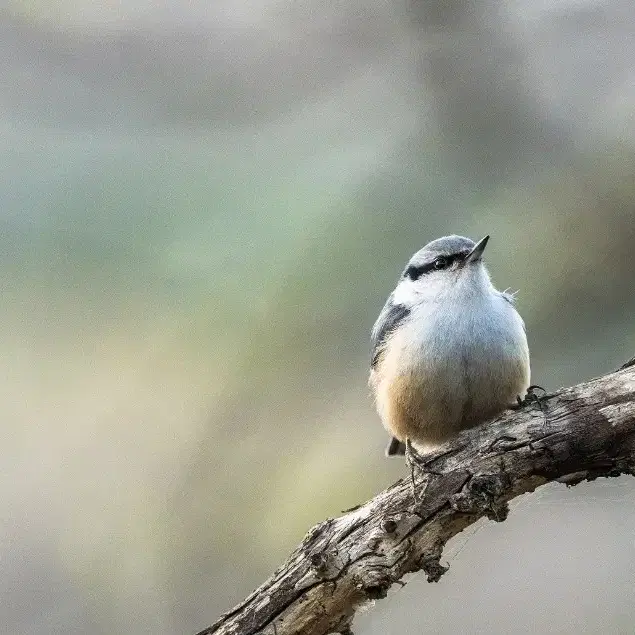 탐론 70-300mm 소니fe마운트