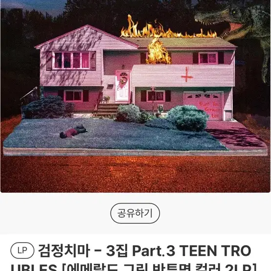 틴트러블 검정치마 lp