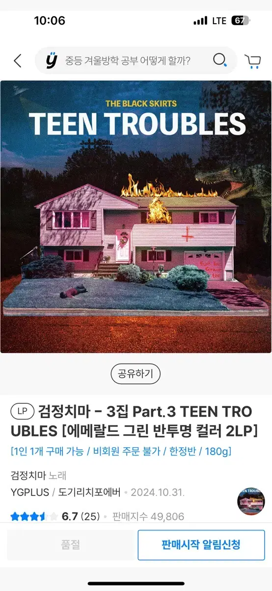 틴트러블 검정치마 lp