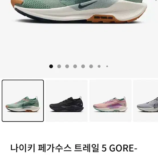 나이키 페가수스 트레일 5 GORE-TEX 등산 275 새상품