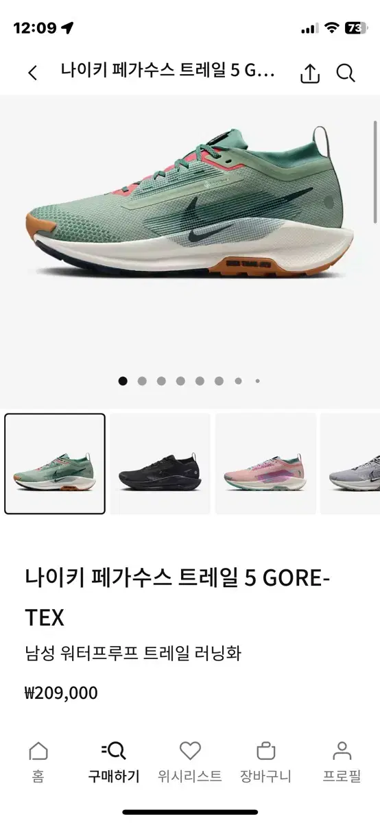 나이키 페가수스 트레일 5 GORE-TEX 등산 275 새상품