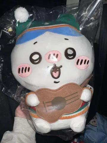 애니마이 복권 치이카와 (B상 하치와레)