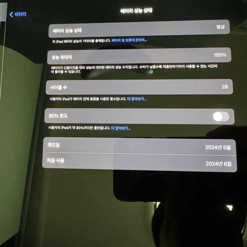 아이패드 프로 13 m4 256 wifi