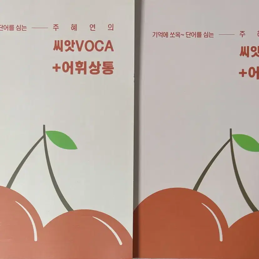 이투스 주혜연 씨앗보카+어휘상통 씨앗VOCA