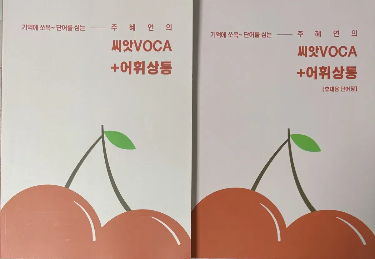 이투스 주혜연 씨앗보카+어휘상통 씨앗VOCA