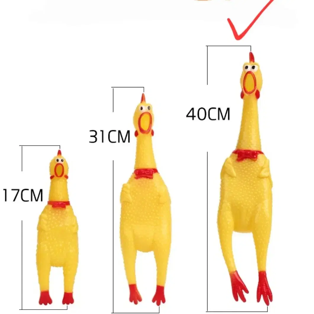 선물 패키지!강아지 장난감 10개 모두